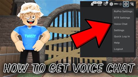 how to get voice chat on roblox under 13